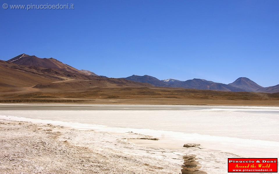 BOLIVIA 2 - Laguna Blanca - 11.jpg